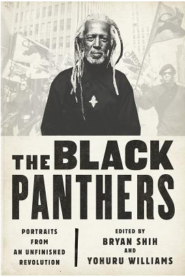The Black Panthers: Portraits from an Unfinished Revolution (Paperback)
