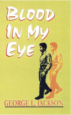 Blood in My Eye (Paperback)